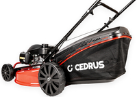 CEDRUS KS56S-H HONDA KOSIARKA SPALINOWA DO TRAWY CEDRUS KS56S-H Z NAPĘDEM 5w1 56cm / 5.6 KM HONDA GCV200 - EWIMAX - OFICJALNY DYSTRYBUTOR - AUTORYZOWANY DEALER CEDRUS