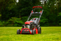 CEDRUS KS53S KOSIARKA SPALINOWA DO TRAWY Z NAPĘDEM 53cm / 5,7 KM - EWIMAX - OFICJALNY DYSTRYBUTOR - AUTORYZOWANY DEALER CEDRUS