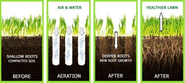WEIBANG WB517AB SPRINKLING RUBBLE 5 hp B&S Briggs & Stratton 750Series WB517 lawn aerator EWIMAX - OFFICIAL DISTRIBUTOR - AUTHORIZED WEIBANG DEALER