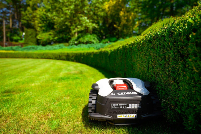CEDRUS M6+ ROBOT KOSZĄCY KOSIARKA AUTOMATYCZNA DO TRAWY C-MOW 600m2 - OFICJALNY DYSTRYBUTOR - AUTORYZOWANY DEALER CEDRUS