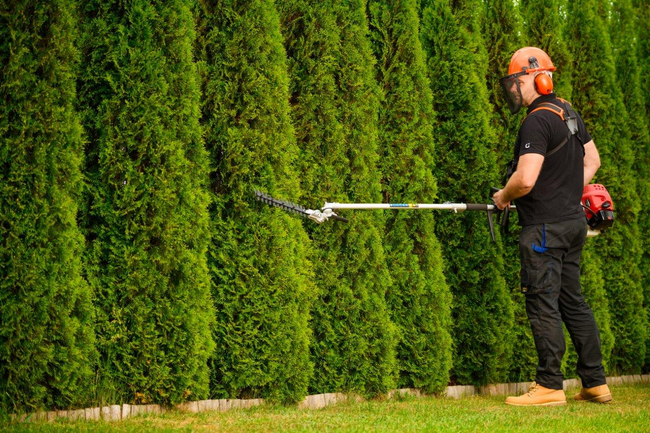 CEDRUS UW520 PETROL LAWN MOWER CHAINSAW PRUNER MULTI-PURPOSE MACHINE TRIMMER MOWER 1.8 KM 