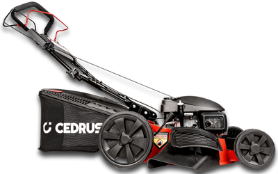 CEDRUS KS53S-H AL HONDA KOSIARKA SPALINOWA DO TRAWY ALUMIONIOWA Z NAPĘDEM HONDA GCVx200 5w1 53cm / 4.1 KM - EWIMAX - OFICJALNY DYSTRYBUTOR - AUTORYZOWANY DEALER CEDRUS