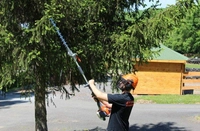 OLEO MAC BC 241 H POLE PRUNER HEDGE SHEAR BUSHES SHRUBS POWER 1.2KM PREMIUM CLASS 61379059E2 EWIMAX -OFFICIAL DISTRIBUTOR - AUTHORIZED OLEO-MAC DEALER