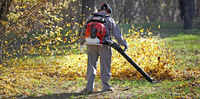 CIFARELLI BL1200 LEAF BLOWER VACUUM CLEANER BL 1200 GARDEN PROFI PROFESSIONAL - OFFICIAL DISTRIBUTOR - AUTHORIZED CIFARELLI DEALER