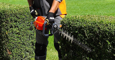 OLEO MAC BC 241 HL SEKATOR NOŻYCE NA WYSIĘGNIKU DO ŻYWOPŁOTU KRZAKÓW KRZEWÓW SPALINOWE MOC 1.2KM KLASA PREMIUM 61379061E2 EWIMAX -OFICJALNY DYSTRYBUTOR - AUTORYZOWANY DEALER OLEO-MAC