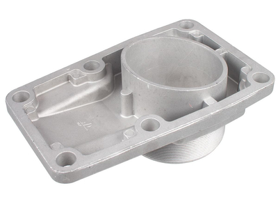 Inlet spigot Cedrus pump PS100-4 70116-V240110-0000