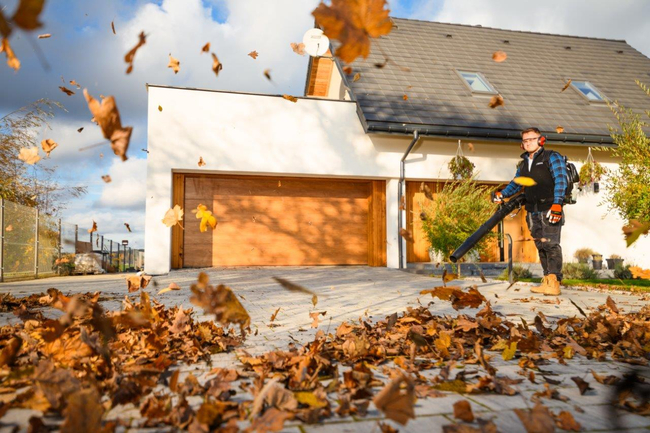 CEDRUS DM05 PRO PROFESSIONAL GARDEN LEAF BLOWER VACUUM CLEANER - OFFICIAL DISTRIBUTOR - AUTHORIZED CEDRUS DEALER