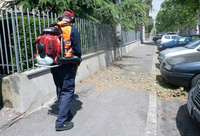 CIFARELLI BL1200 LEAF BLOWER VACUUM CLEANER BL 1200 GARDEN PROFI PROFESSIONAL - OFFICIAL DISTRIBUTOR - AUTHORIZED CIFARELLI DEALER