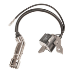 Weima W80F ignition module 11.008.004.0057