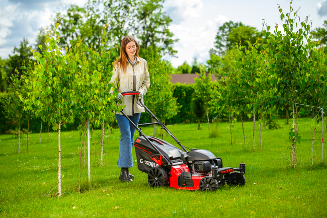 CEDRUS KS51S-H-ZT HONDA 5in1 SPRINELOVÁ SEKAČKA S POHONEM 51cm / 4,6 HP HONDA GCV170 - EWIMAX - Oficialní distributor - autorizovaný prodejce CEDRUS