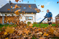 CEDRUS DM05 PRO PROFESSIONAL GARDEN LEAF BLOWER VACUUM CLEANER - OFFICIAL DISTRIBUTOR - AUTHORIZED CEDRUS DEALER