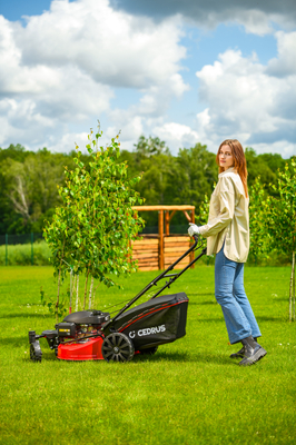 CEDRUS KS51S-H-ZT HONDA 5in1 SPRINELOVÁ SEKAČKA S POHONEM 51cm / 4,6 HP HONDA GCV170 - EWIMAX - Oficialní distributor - autorizovaný prodejce CEDRUS