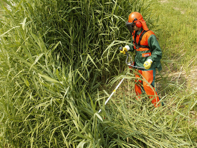 OLEO MAC BC 400 T PROFI PETROL GRASS CUTTER PROFESSIONAL TRIMMER POWER 2.5 KM PREMIUM CLASS 61429002E2 EWIMAX-OFFICIAL DISTRIBUTOR - AUTHORIZED OLEO-MAC DEALER