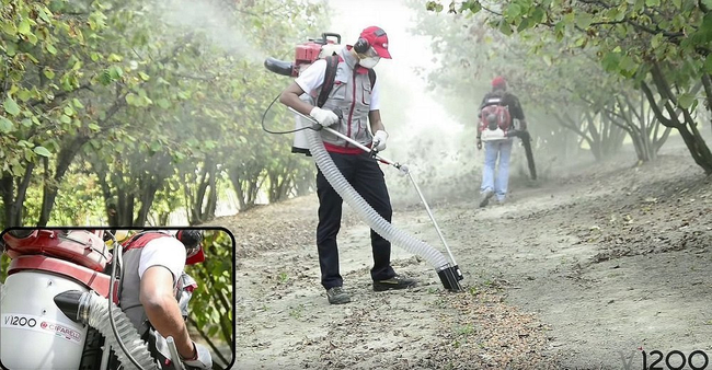 CIFARELLI V1200B CHESTNUT ACORN VACUUM CLEANER DIESEL PROFI PROFESSIONAL - OFFICIAL DISTRIBUTOR - AUTHORIZED CIFARELLI DEALER