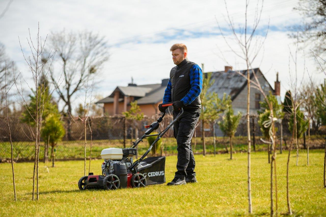 CEDRUS WR01-H WERTYKULATOR SPALINOWY DO TRAWY AREATOR 2w1 6 KM HONDA GP200 - EWIMAX - OFICJALNY DYSTRYBUTOR - AUTORYZOWANY DEALER CEDRUS