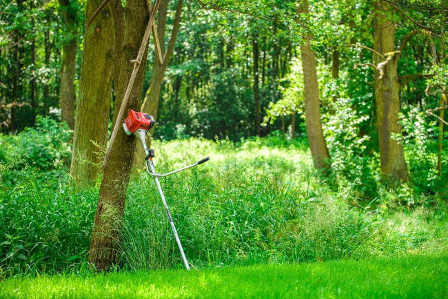 CEDRUS WK330R KOSA SPALINOWA DO TRAWY PODKASZARKA WYKASZARKA 1.2 KM EWIMAX-OFICJALNY DYSTRYBUTOR - AUTORYZOWANY DEALER CEDRUS