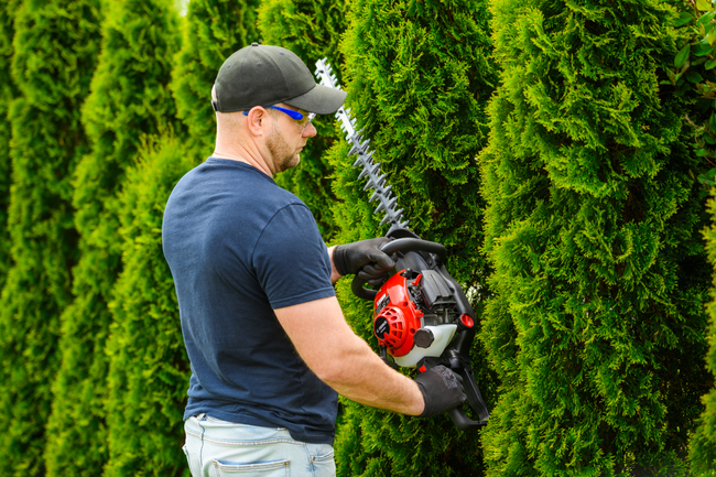 CEDRUS NZ02 SPRELINER SHARPS COMPACT LIFT TREE SHOVER 61 cm - EWIMAX - OFICIÁLNÍ DISTRIBUTOR - AUTORIZOVANÝ PRODEJCE CEDRUS