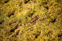 WEIBANG WB457AB SPRINKLING TURBLE 5 HP B&S Briggs & Stratton 750 Series WB457 / WB 457 lawn aerator EWIMAX - OFFICIAL DISTRIBUTOR - AUTHORIZED WEIBANG DEALER