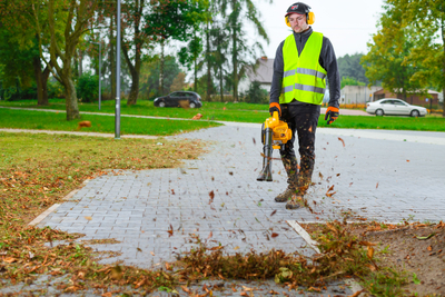 CEDRUS DM03 2w1 ODKURZACZ SPALINOWY OGRODOWY DMUCHAWA DO LIŚCI - OFICJALNY DYSTRYBUTOR - AUTORYZOWANY DEALER CEDRUS