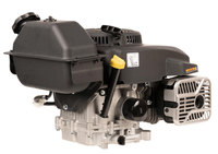 Silnik Weibang CV300-7 CV300-7