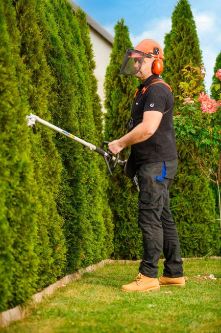 CEDRUS UW552 / UW520 KOSA SPALINOWA DO TRAWY PIŁA ŁAŃCUCHOWA SEKATOR URZĄDZENIE WIELOFUNKCYJNE PODKASZARKA WYKASZARKA 1.8 KM 