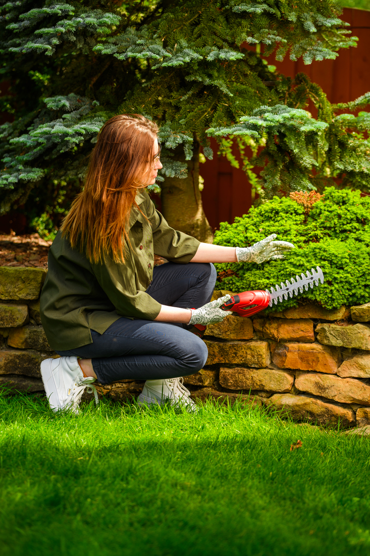 Cedrus CEDGS100LI użytkowanie