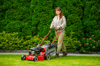 WEIBANG WB455SC 3W1 MOTORIZED VERTICAL MOWER 3.5 HP / 45cm - OFFICIAL DISTRIBUTOR - AUTHORIZED WEIBANG DEALER