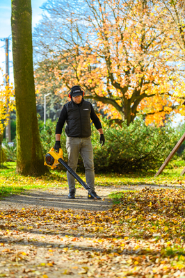 CEDRUS DM03 2w1 ODKURZACZ SPALINOWY OGRODOWY DMUCHAWA DO LIŚCI - OFICJALNY DYSTRYBUTOR - AUTORYZOWANY DEALER CEDRUS