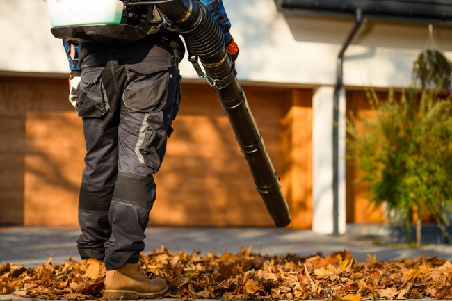 CEDRUS DM05 PRO PROFESSIONAL GARDEN LEAF BLOWER VACUUM CLEANER - OFFICIAL DISTRIBUTOR - AUTHORIZED CEDRUS DEALER