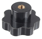 Cedrus seeder nut CEDRTJ02 97878