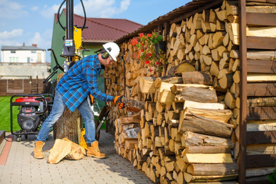 CEDRUS LS10 HYDRAULIC ELECTRIC WOOD SPLITTER CEDRUS CEDLS10V VERTICAL CHIPPER PRESSURE 22 TONS - EWIMAX - OFFICIAL DISTRIBUTOR - AUTHORIZED CEDRUS DEALER