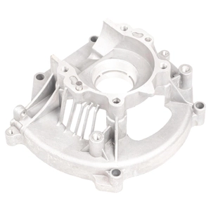 Cedrus pravý šnek SW01