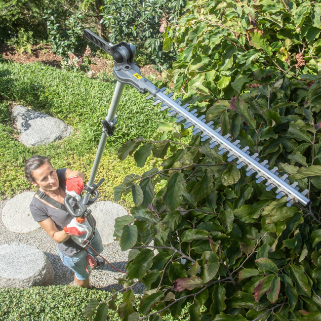 IKRA IECH 1000 chainsaw chain saw cutter chopper hedge trimmer electric hedge trimmer on telescopic boom 2-in-1 1000W PREMIUM OB-IKRIECH1000 EWIMAX - OFFICIAL DISTRIBUTOR - AUTHORIZED IKRA DEALER