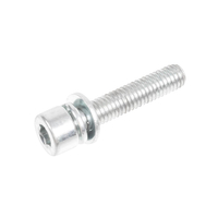 CEDRUS screw M5x25 sprayer OP02 OP03 070832