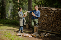 FISKARS X21 WOOD SPLITING SIXER Fiskars X21-L 122473 - OFFICIAL DISTRIBUTOR - AUTHORIZED DEALER FISKARS