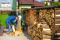 CEDRUS LS10 ŁUPARKA DO DREWNA HYDRAULICZNA ELEKTRYCZNA CEDRUS CEDLS10V PIONOWA RĘBAK NACISK 22 TONY - EWIMAX - OFICJALNY DYSTRYBUTOR - AUTORYZOWANY DEALER CEDRUS
