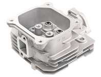 Hlava cedru Y196V 480499