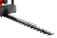 FAWORYT TMN225 EKATOR SPRINAL CRIMBERRY NURSER 65 cm