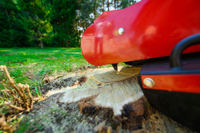 CEDRUS FR01 ROOT PLANTER TREE GRUBBER 15 KM - EWIMAX - OFFICIAL DISTRIBUTOR - AUTHORIZED CEDRUS DEALER