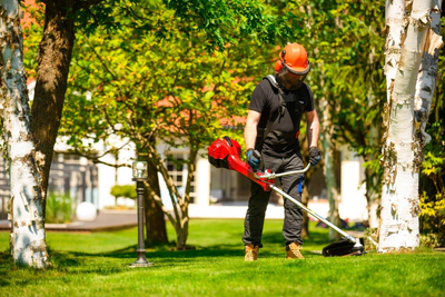 CEDRUS WK430X PETROL GRASS TRIMMER MOWER 1.8 KM EWIMAX - OFFICIAL DISTRIBUTOR - AUTHORIZED CEDRUS DEALER