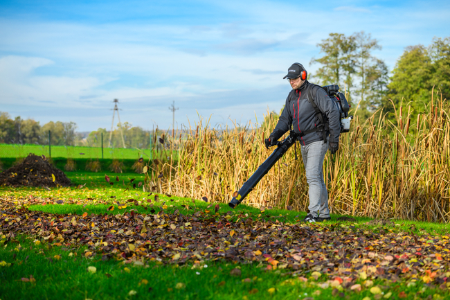 CEDRUS DM05 PRO PROFESSIONAL GARDEN LEAF BLOWER HOOVER - OFICIÁLNÍ DISTRIBUTOR - AUTORIZOVANÝ PRODEJCE CEDRUS
