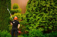CEDRUS UW520 BENZÍNOVÁ SEKAČKA NA TRÁVU ŘETĚZOVÁ PILA ZAHRADNÍ NŮŽKY UNIVERZÁLNÍ VYŽÍNAČ VYŽÍNACÍ NÁSTAVEC 1,8 KM 