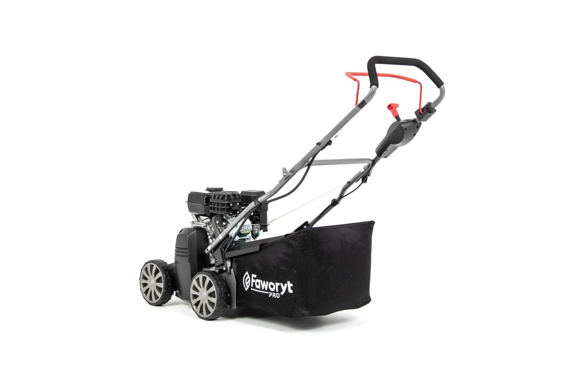 FAWORYT PRO RP40 L widok z tyłu