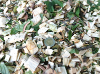 MASTERCUT JD-CH7 ROZDRABNIACZ SPALINOWY REBAK DO GAŁĘZI 7cm / 9KM