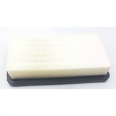 HEPA filtr pro DED7075, DED7174
