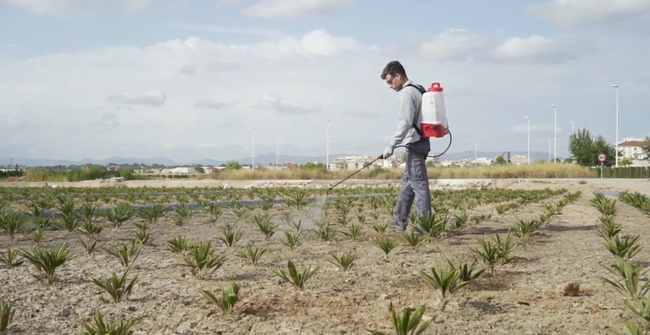 PULMIC RAPTOR 12 BACKPACK PRESSURE SPRAYER MANUAL PISTON SPRAYER 12L EWIMAX - OFFICIAL DISTRIBUTOR - AUTHORIZED PULMIC DEALER