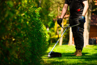 CEDRUS WK330 BENZÍNOVÁ SEKAČKA NA TRÁVU 1,2 KM EWIMAX-OCIAL DISTRIBUTOR - AUTORIZOVANÝ PRODEJCE CEDRUS