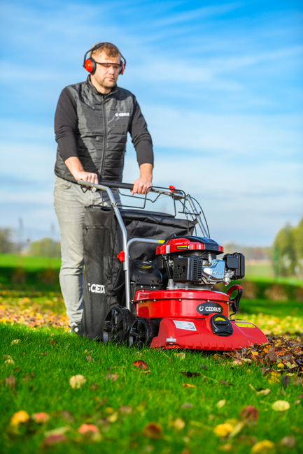 CEDRUS LV58 S PROFESSIONAL CLEANER + 4in1 SPRINEL LEAF VERTICULATOR 4in1 GARDEN DRIVE ROAD DRIVER 2in1 LV58S - OFFICIAL DISTRIBUTOR - AUTHORIZED DEALER CEDRUS