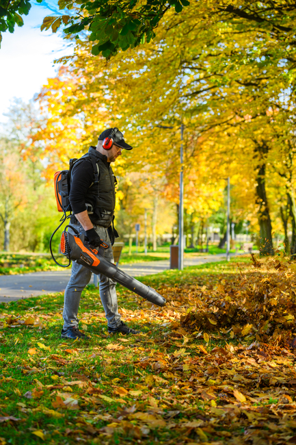 Cedrus BL210-P Cordless blower Cedrus 60V BL210-P, without battery and charger CEDBL210-P