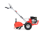 FAWORYT SHT48-196L SPRELINED CULTILIZER DREAMER with 6.5HP 48cm